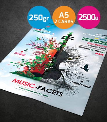 Flyers A5 urgentes 250gr. 2 caras 2500 unidades