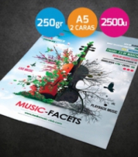 Flyers A5 urgentes 250gr. 2 caras 2500 unidades